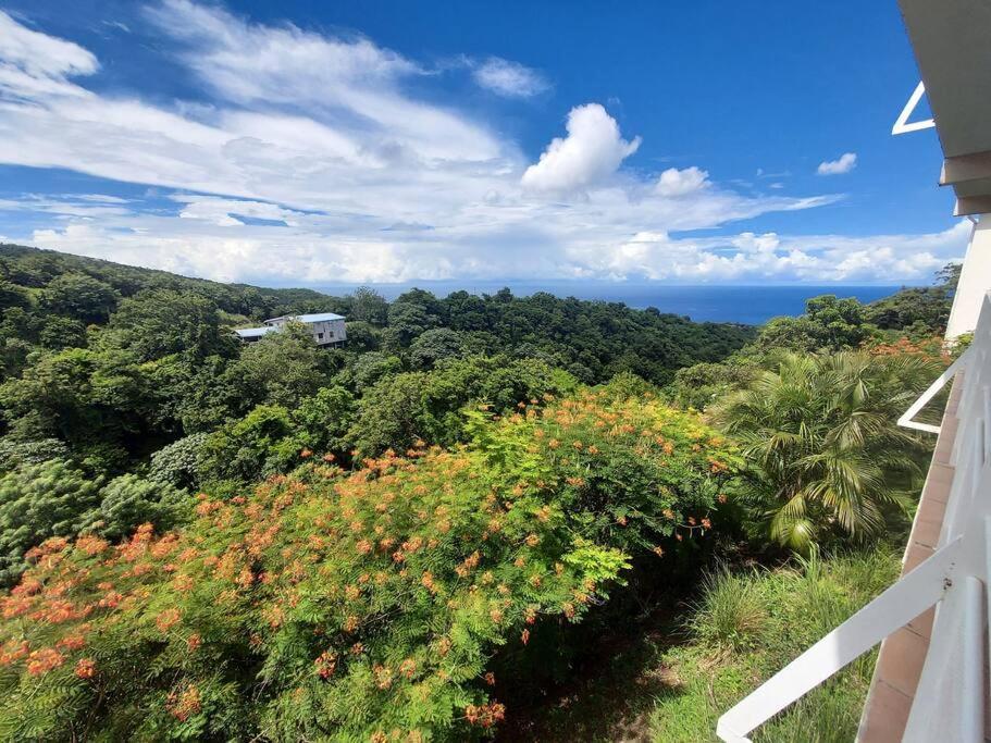 Grand Studio En Bas De Villa Avec Vue Sur Mer Au Carbet ลาการ์เบต์ ภายนอก รูปภาพ